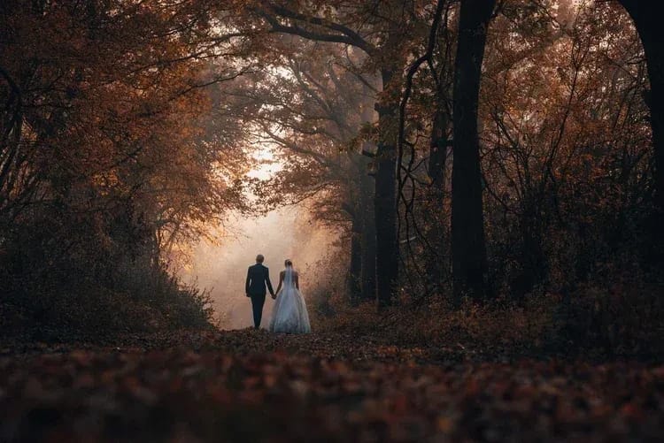 Featured image for How to Find the Best Photo Spots at Your Wedding Venue