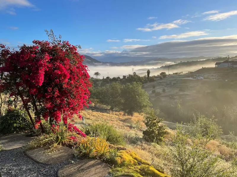 French Chateau in North San Diego - Photo 3