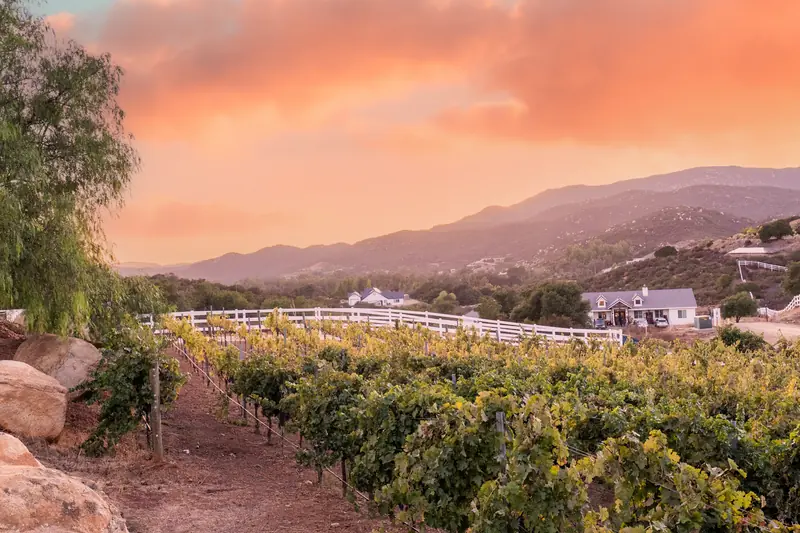 Tuscan Vineyard Equestrian Villa in Temecula’s Rolling Hills - Photo 2