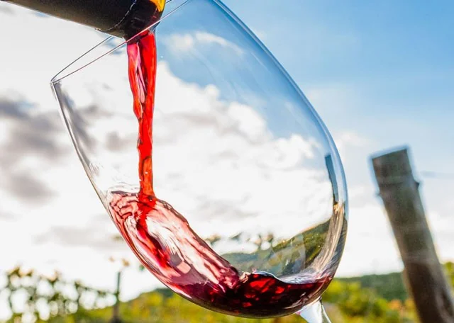 Stagecoach Wine Tours wedding photo