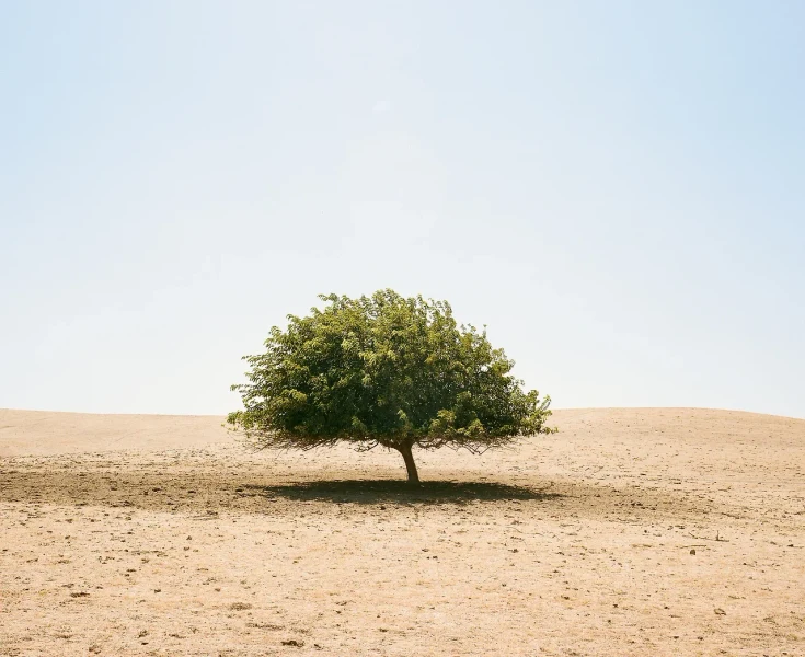 Weddings By LaLa wedding photo